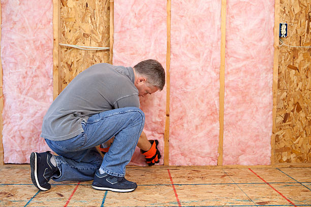 Best Eco-Friendly Insulation in Eatonville, FL